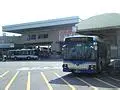 赛艇半决赛上演强强对话，滇池犀牛队鏖战庐州飞鹰队，多点开花奏效；黑马成最大惊喜的简单介绍